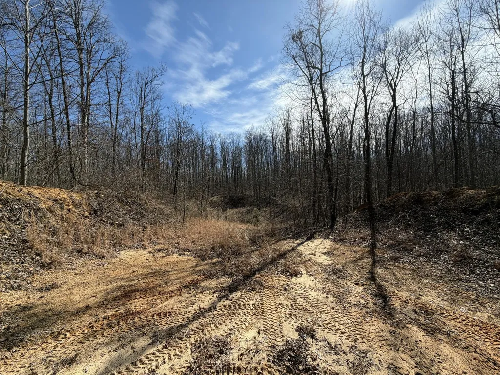 4872 Deer Run Road Altamont TN 37301