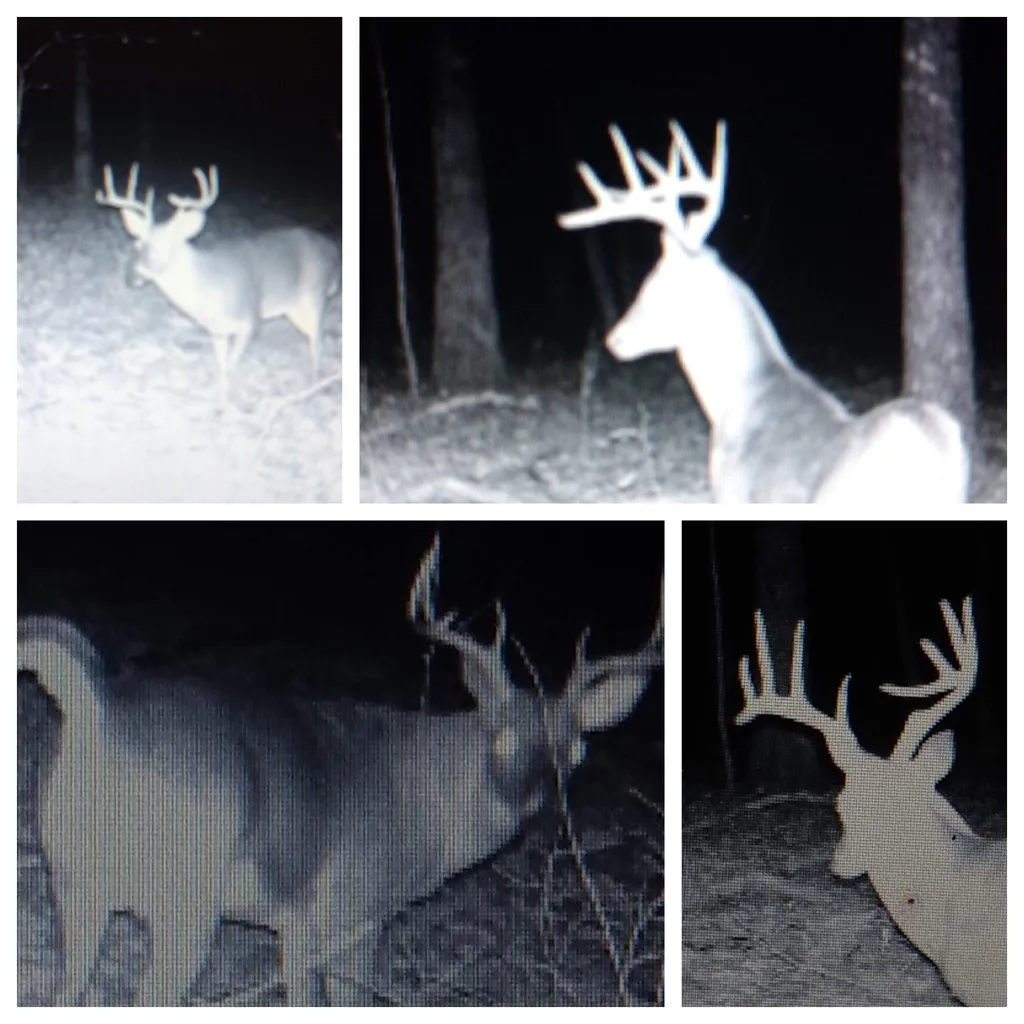 4872 Deer Run Road Altamont TN 37301