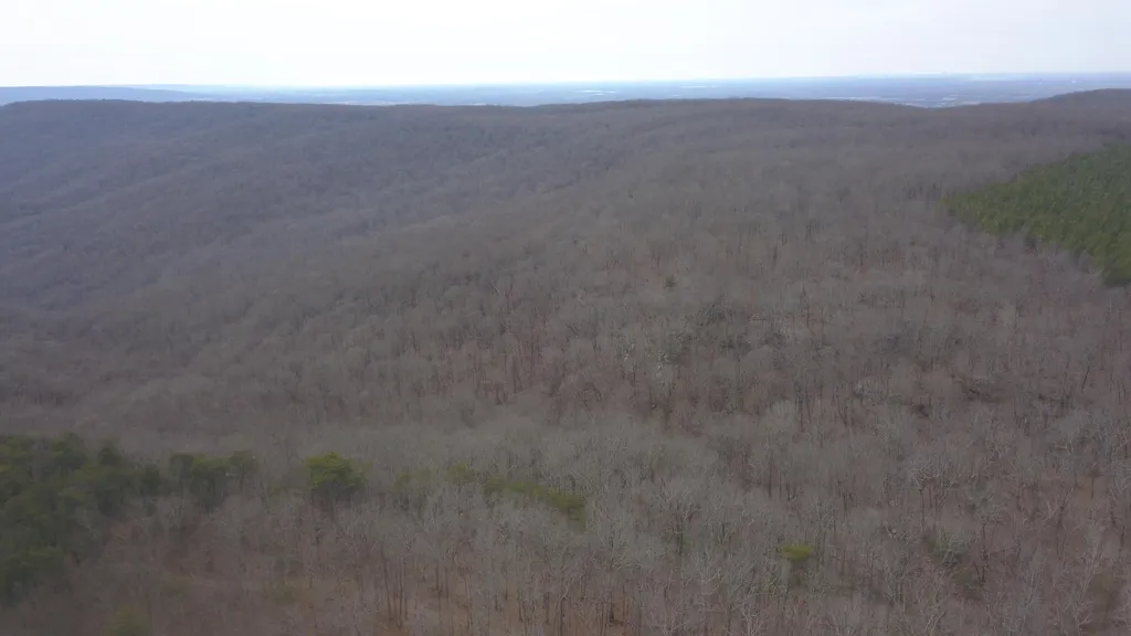 4872 Deer Run Road Altamont TN 37301