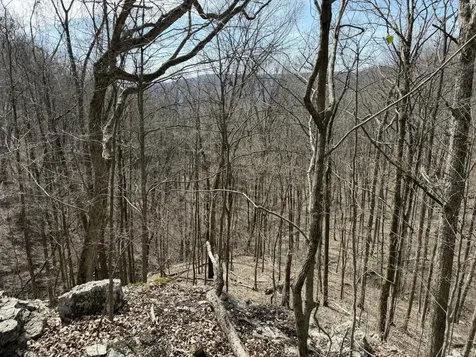 4872 Deer Run Road Altamont TN 37301