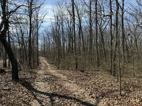 4872 Deer Run Road Altamont TN 37301