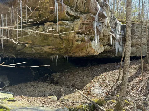 4872 Deer Run Road Altamont TN 37301