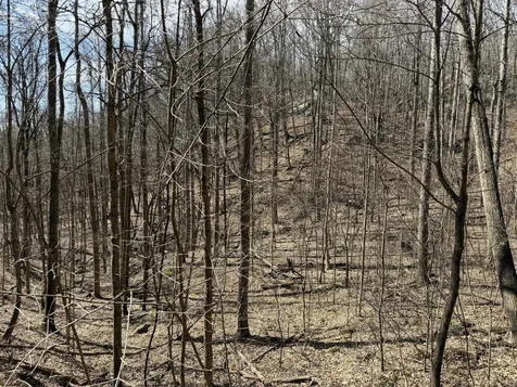 4872 Deer Run Road Altamont TN 37301