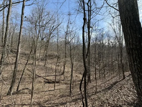 4872 Deer Run Road Altamont TN 37301