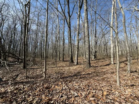 4872 Deer Run Road Altamont TN 37301