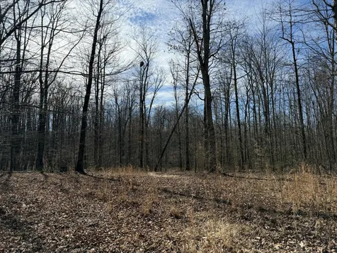 4872 Deer Run Road Altamont TN 37301