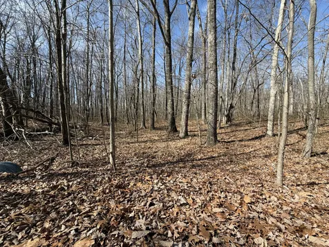 4872 Deer Run Road Altamont TN 37301