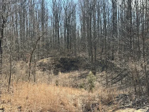 4872 Deer Run Road Altamont TN 37301