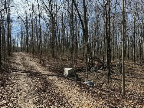 4872 Deer Run Road Altamont TN 37301