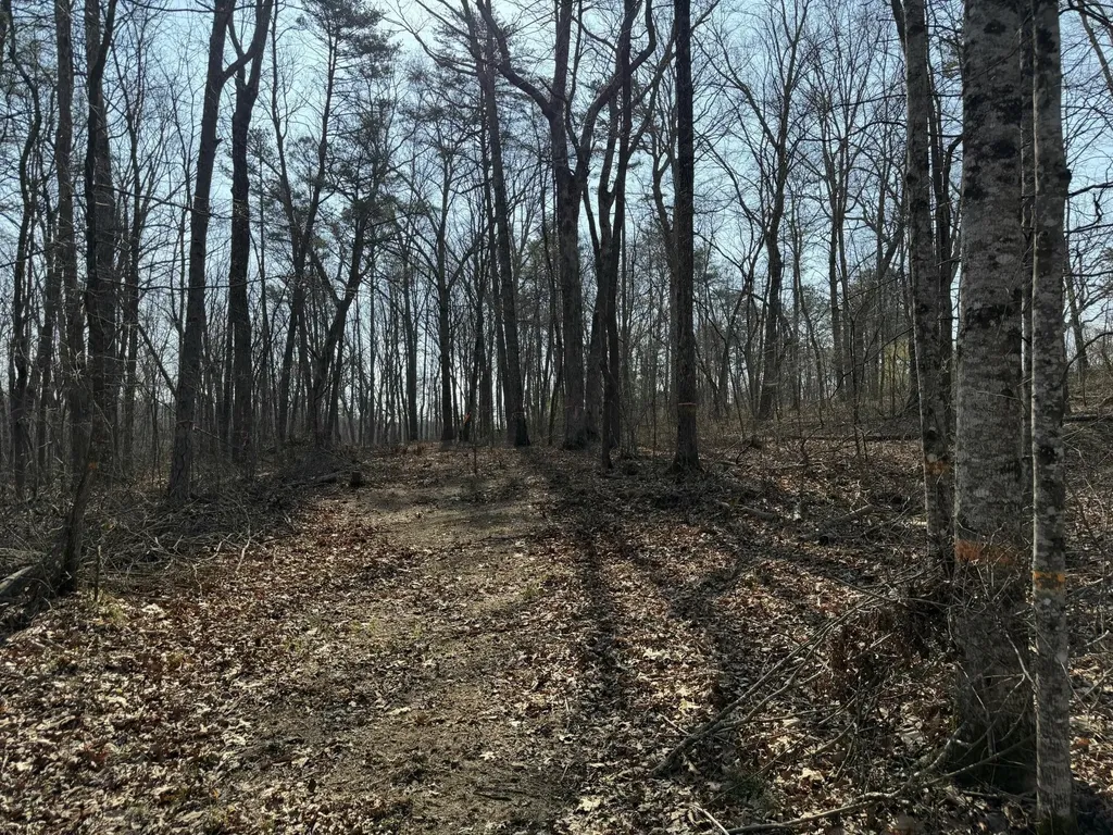 1065 Deerhead Road Dunlap TN 37327