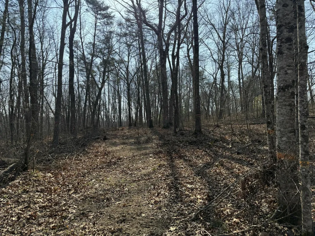 1065 Deerhead Road Dunlap TN 37327