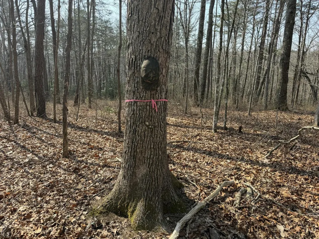 1065 Deerhead Road Dunlap TN 37327