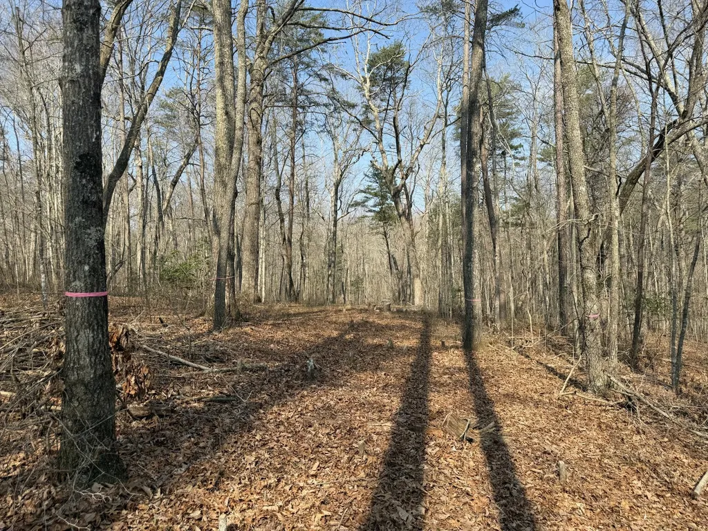1065 Deerhead Road Dunlap TN 37327