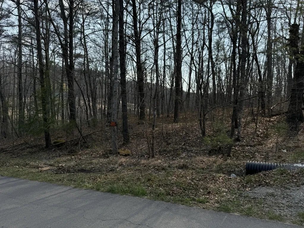 1065 Deerhead Road Dunlap TN 37327