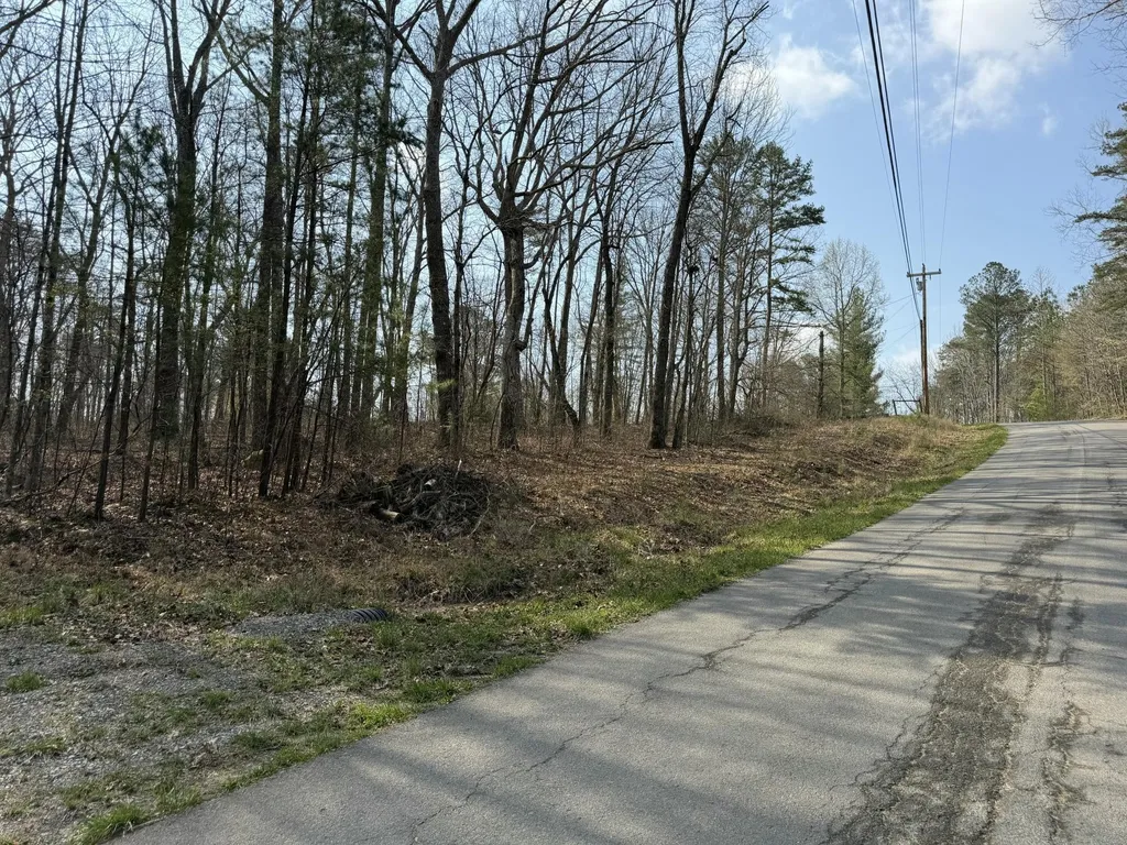 1065 Deerhead Road Dunlap TN 37327