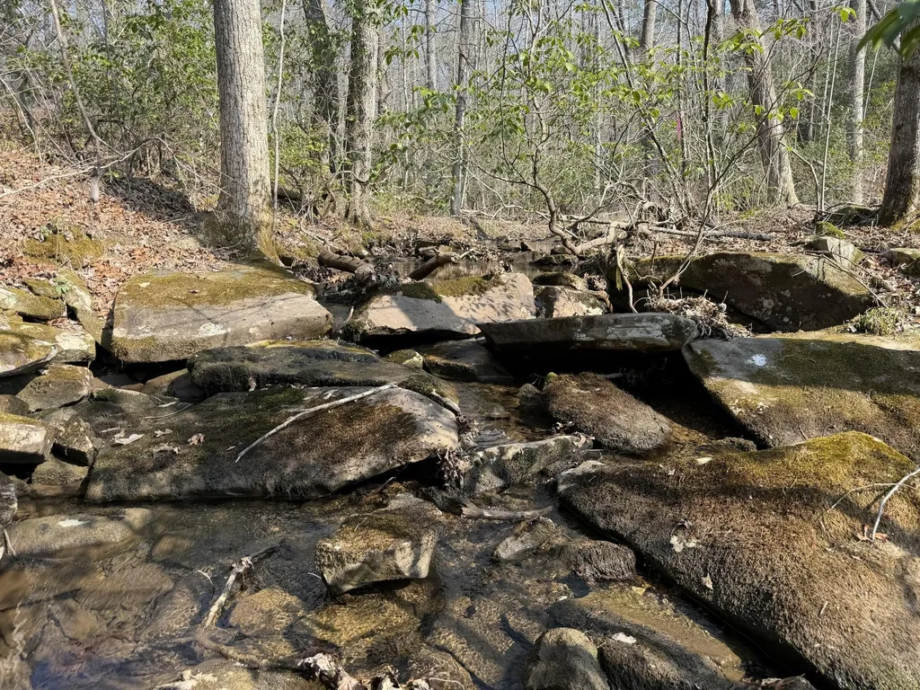 1065 Deerhead Road Dunlap TN 37327