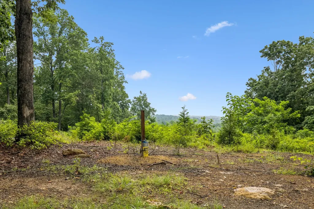 1065 Sioux Trail Pegram TN 37143