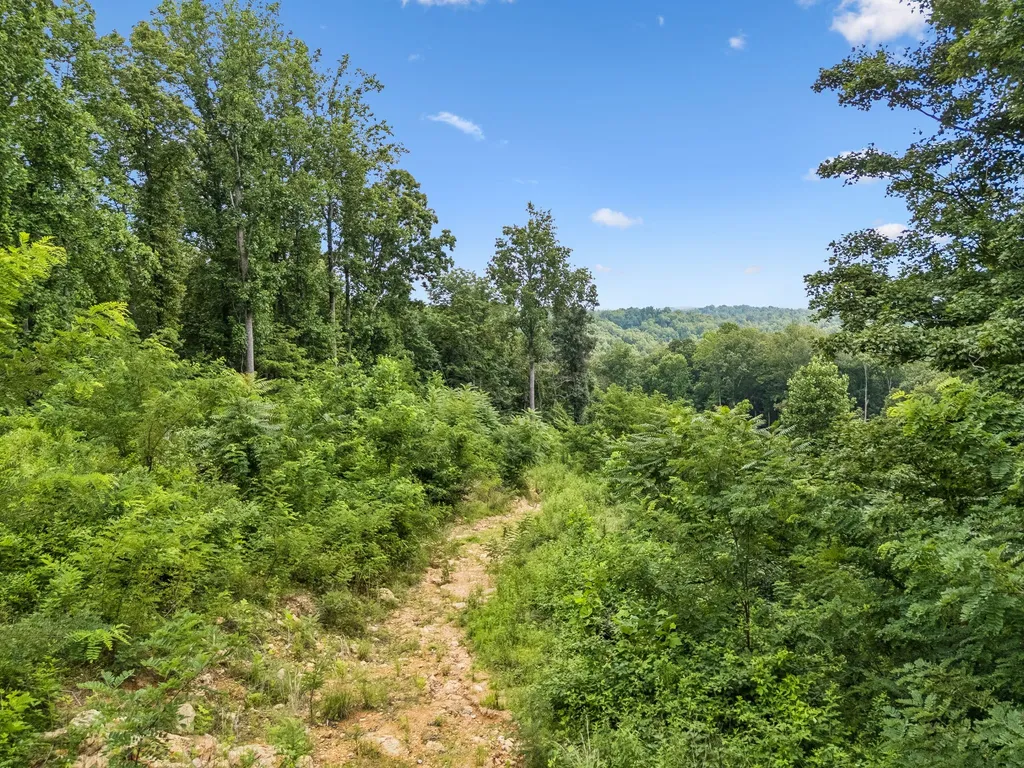 1065 Sioux Trail Pegram TN 37143