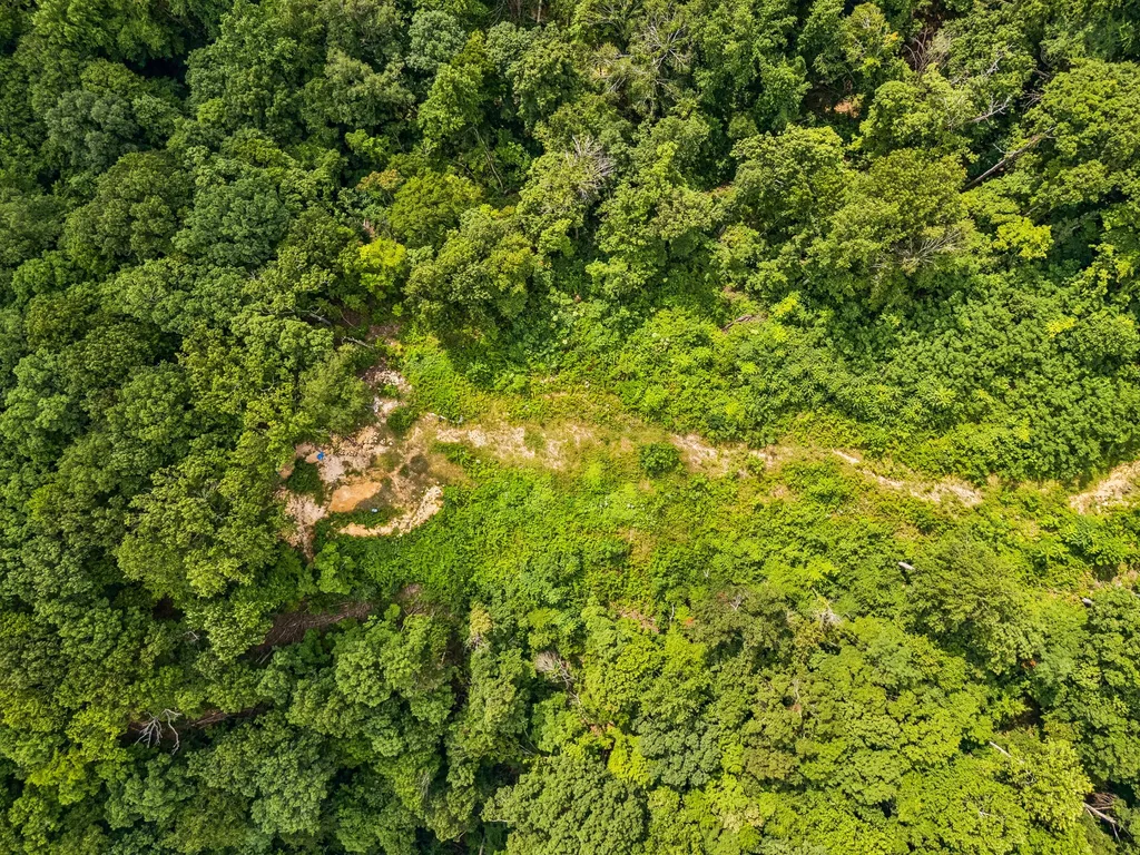 1065 Sioux Trail Pegram TN 37143
