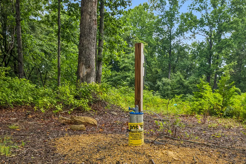 1065 Sioux Trail Pegram TN 37143