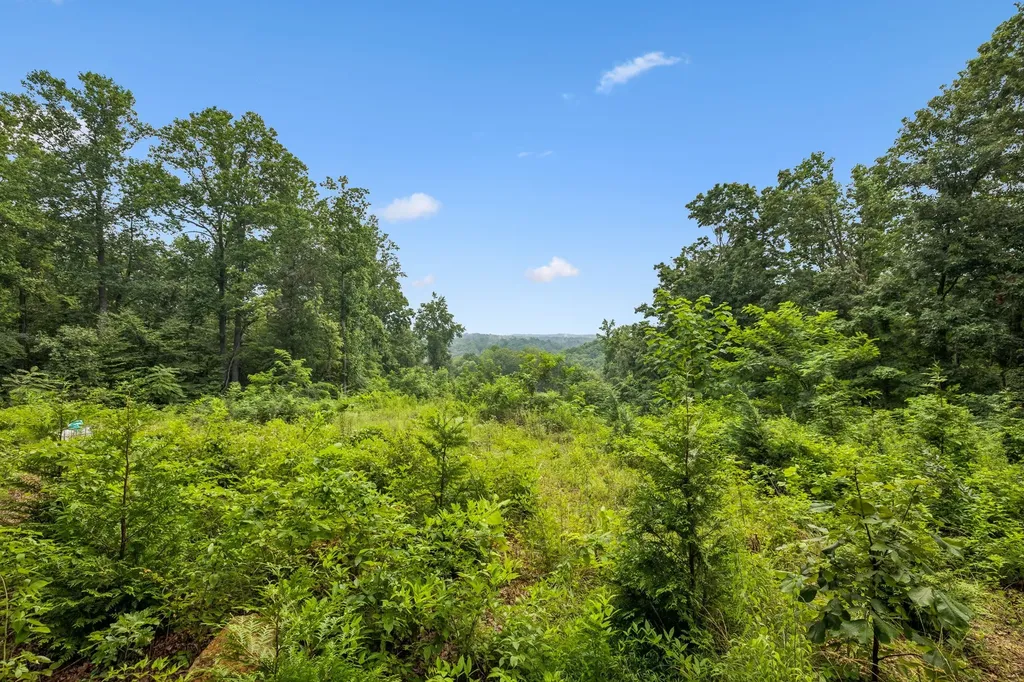 1065 Sioux Trail Pegram TN 37143