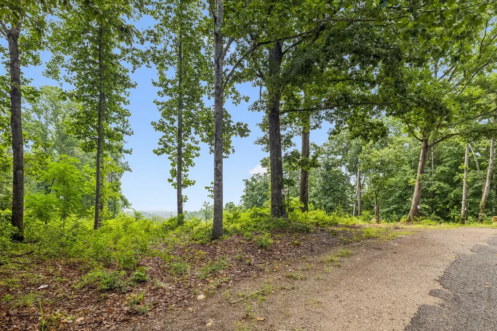 1065 Sioux Trail Pegram TN 37143