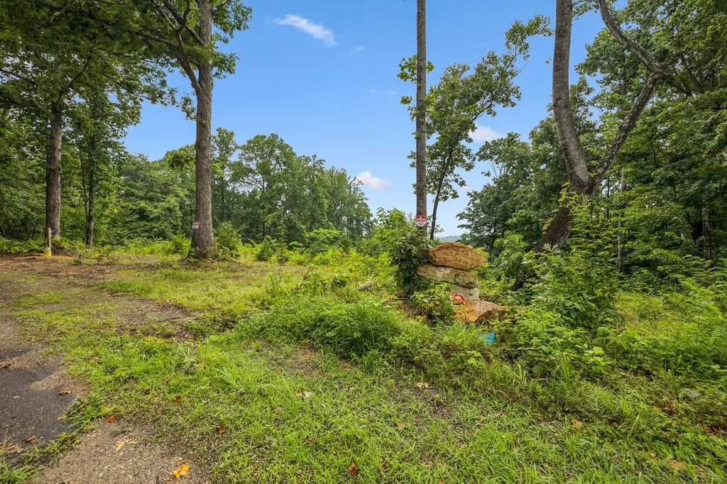 1065 Sioux Trail Pegram TN 37143