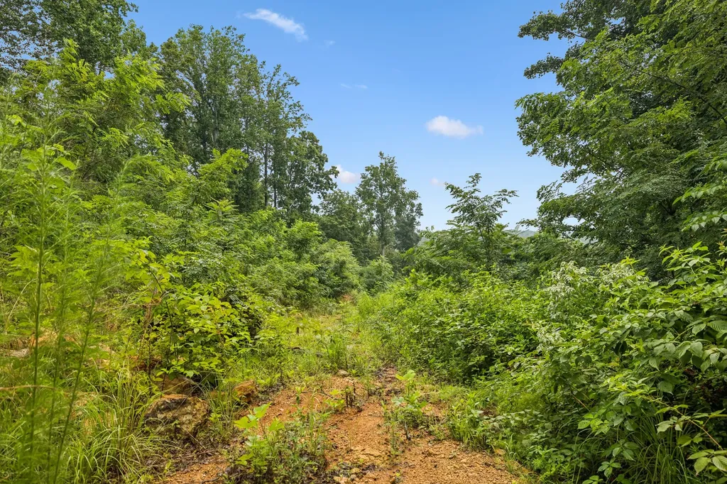 1065 Sioux Trail Pegram TN 37143