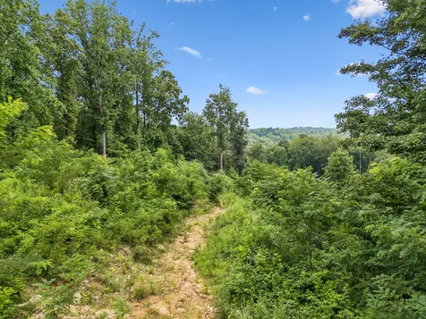 1065 Sioux Trail Pegram TN 37143