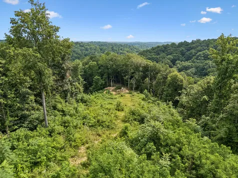 1065 Sioux Trail Pegram TN 37143