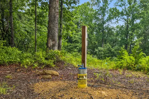 1065 Sioux Trail Pegram TN 37143