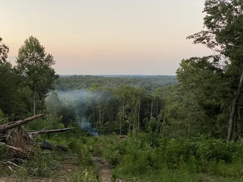 1065 Sioux Trail Pegram TN 37143
