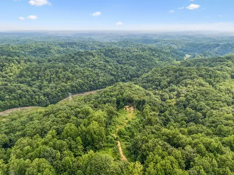 1065 Sioux Trail Pegram TN 37143