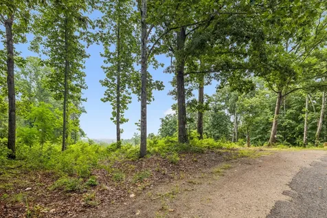1065 Sioux Trail Pegram TN 37143