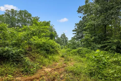 1065 Sioux Trail Pegram TN 37143