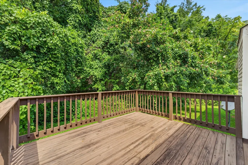3171 Buckhorn Court Clarksville TN 37043