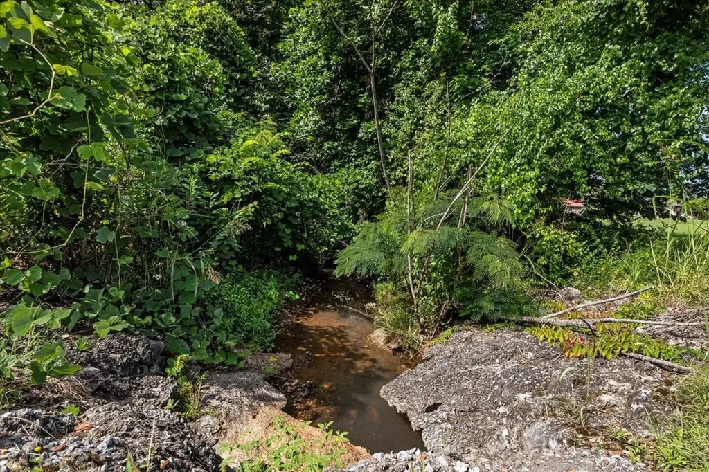 0 Ashe Avenue New Johnsonville TN 37134