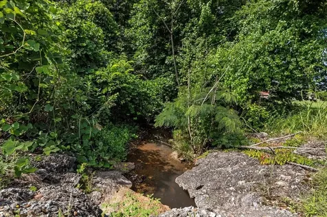 0 Ashe Avenue New Johnsonville TN 37134