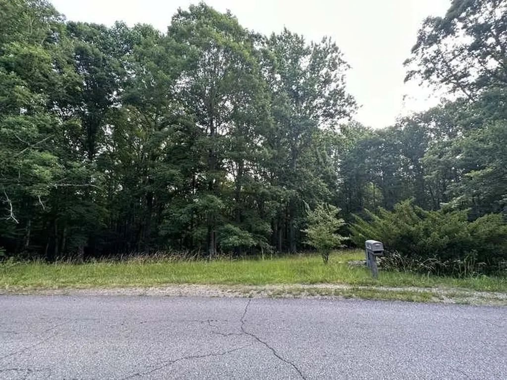 1251 Mount Pleasant Road Kingston Springs TN 37082