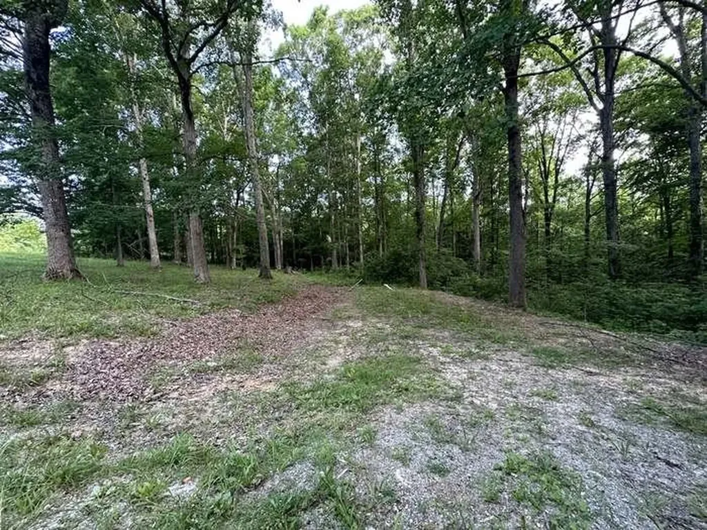 1251 Mount Pleasant Road Kingston Springs TN 37082