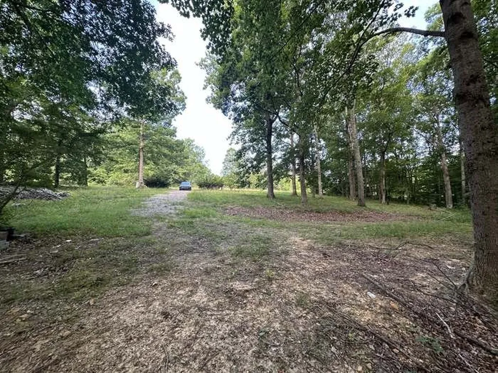1251 Mount Pleasant Road Kingston Springs TN 37082