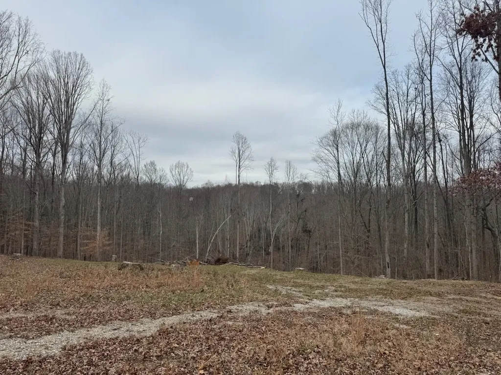 1251 Mount Pleasant Road Kingston Springs TN 37082