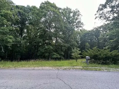 1251 Mount Pleasant Road Kingston Springs TN 37082