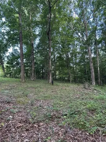 1251 Mount Pleasant Road Kingston Springs TN 37082