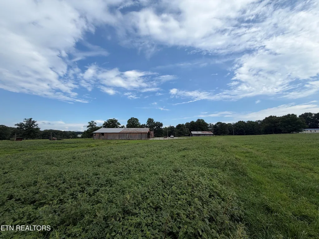 1041 Walt Reed Road Grandview TN 37337
