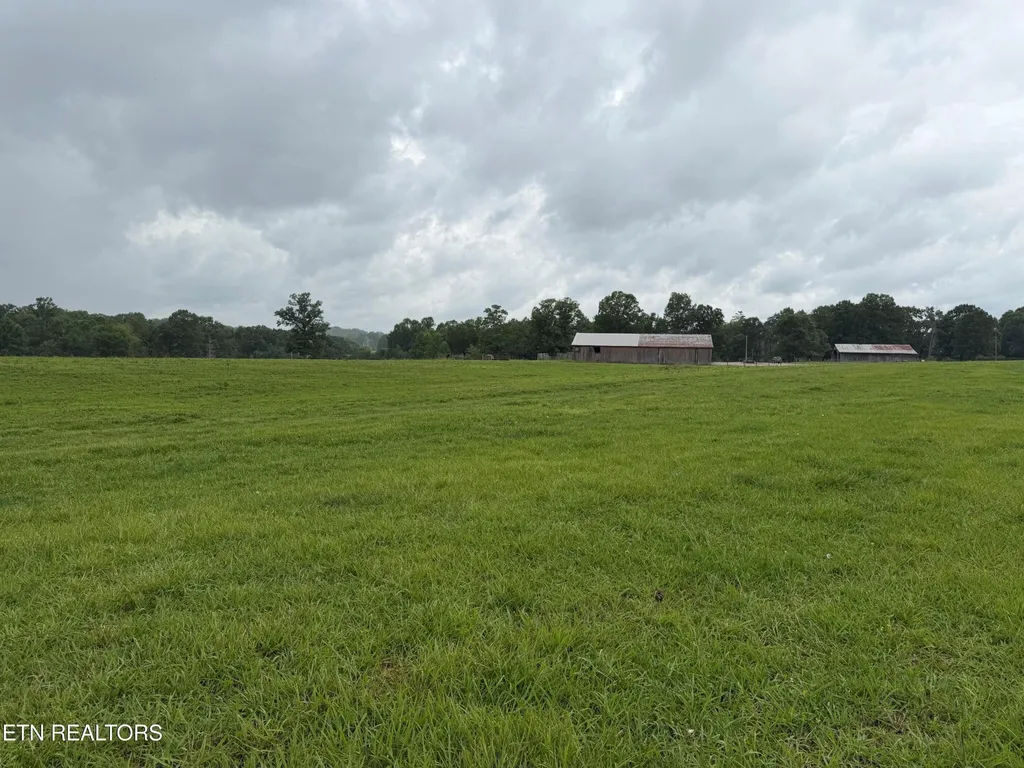 1041 Walt Reed Road Grandview TN 37337