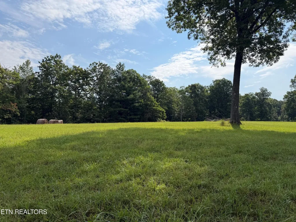 1041 Walt Reed Road Grandview TN 37337