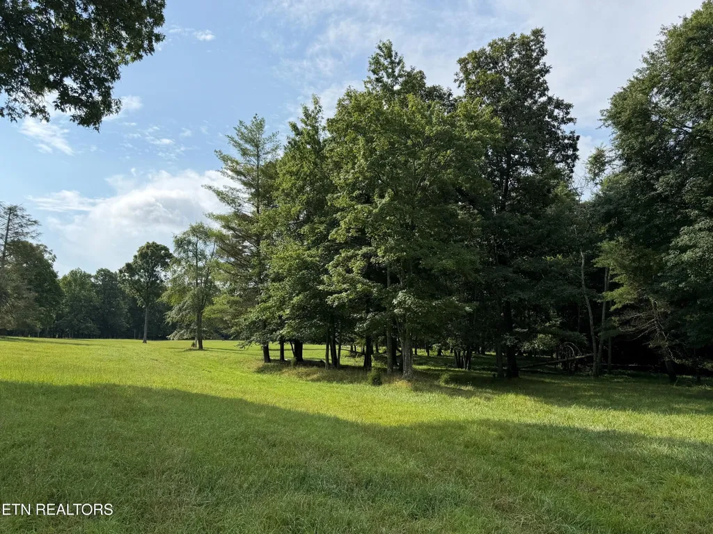 1041 Walt Reed Road Grandview TN 37337