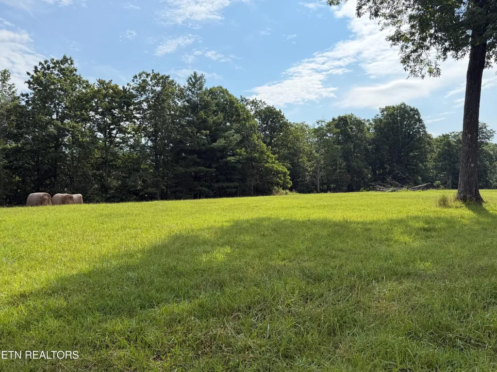 1041 Walt Reed Road Grandview TN 37337