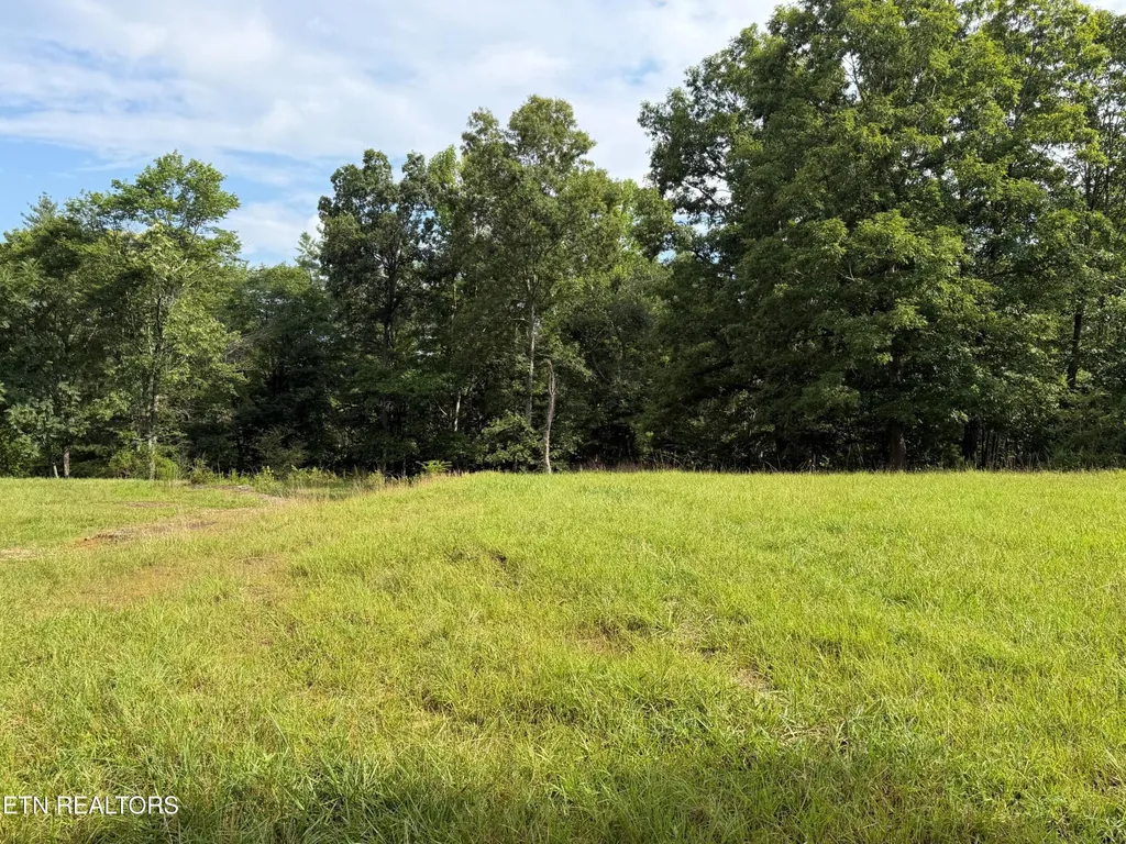 1041 Walt Reed Road Grandview TN 37337